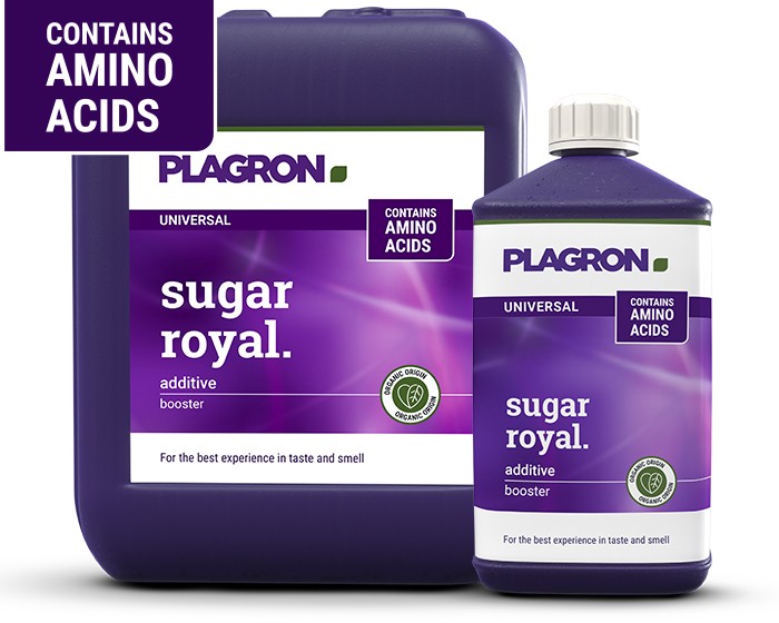 Plagron Sugar Royal Kanister und Flasche