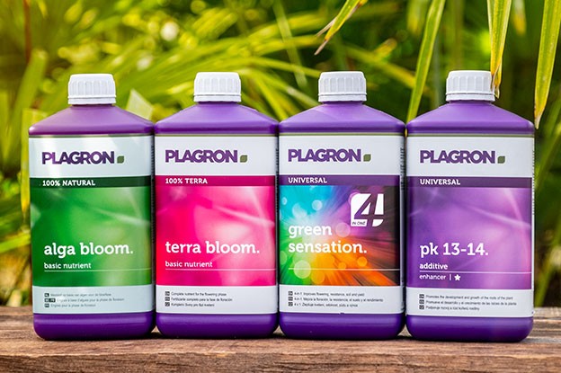 What nutrient does a flowering plant need?