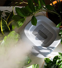 Humidity control for plants growing indoors