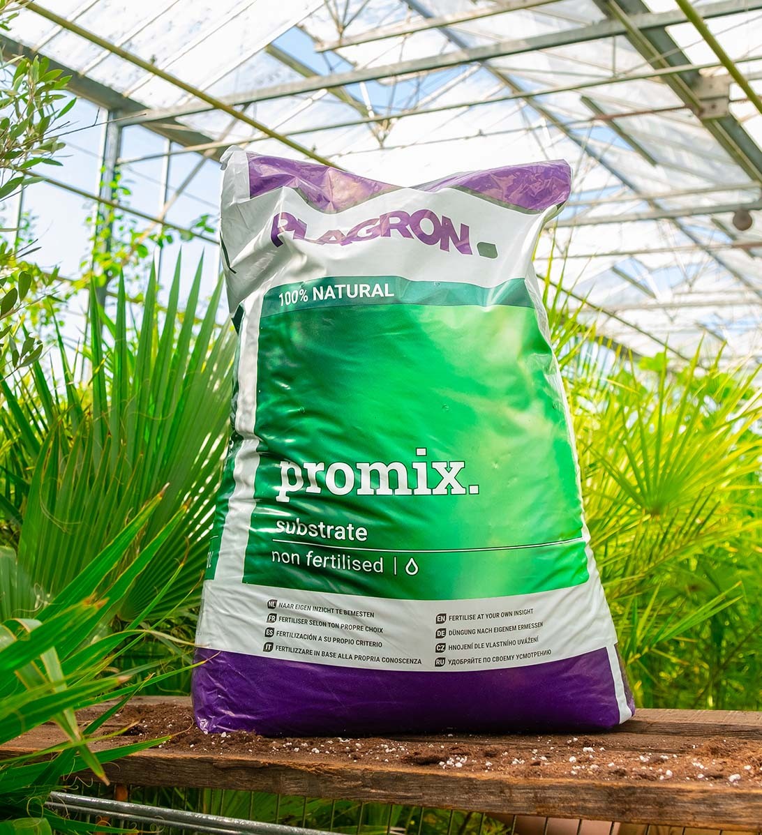 Promix: the best organic potting soil for growing outdoors