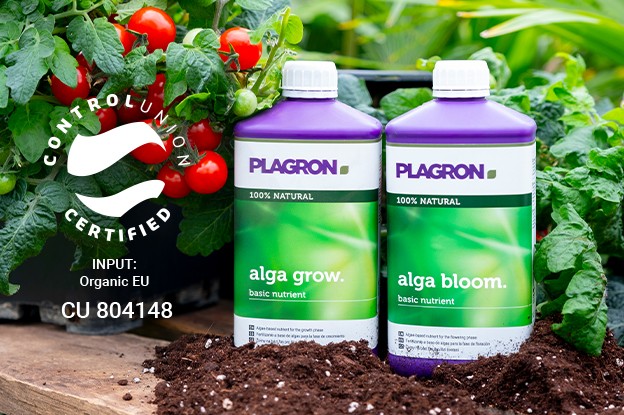 Certificación Control Union, Plagron Alga Grow y Plagron Alga Bloom