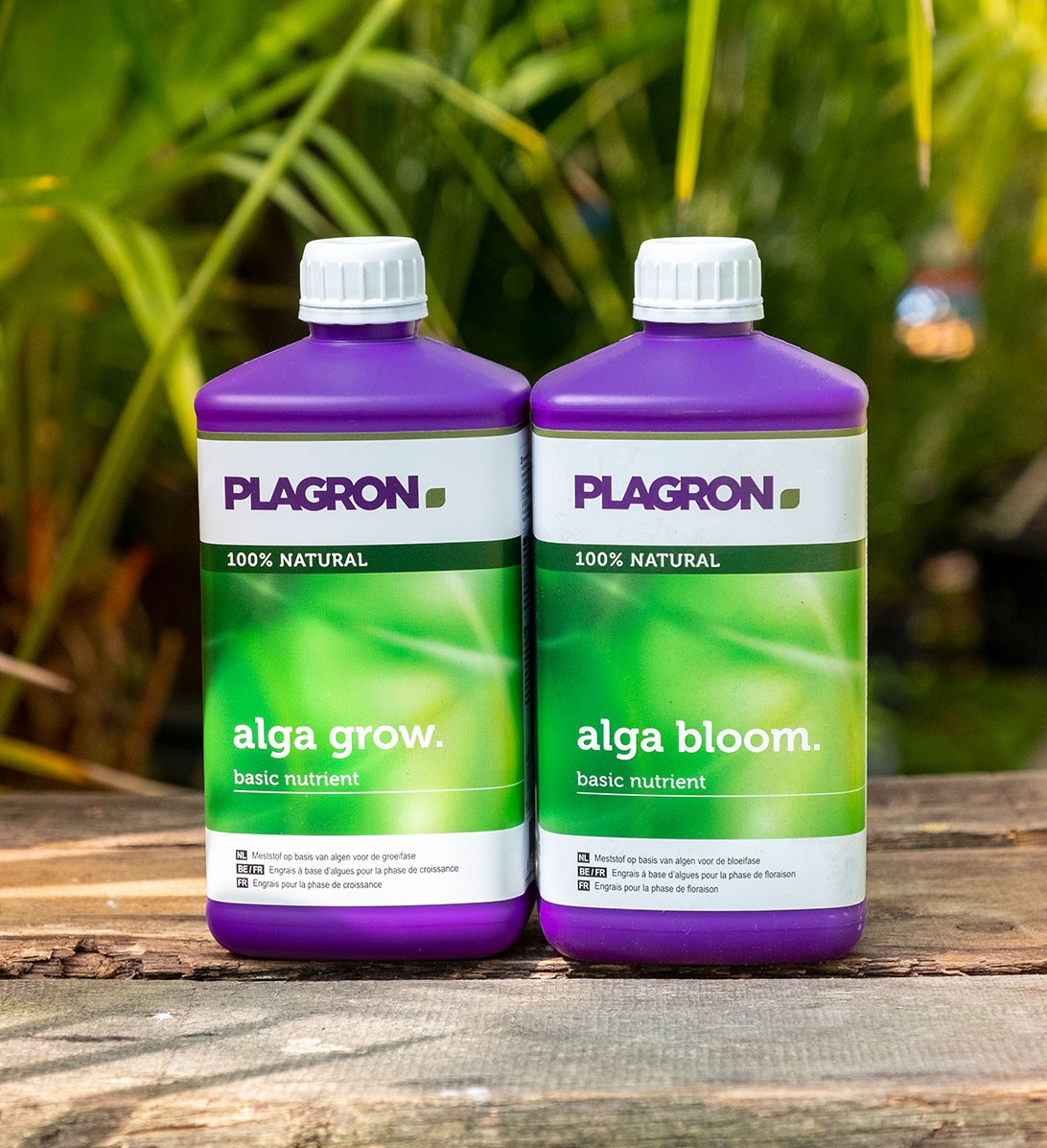 Cultivo orgánico con Alga Grow y Alga Bloom