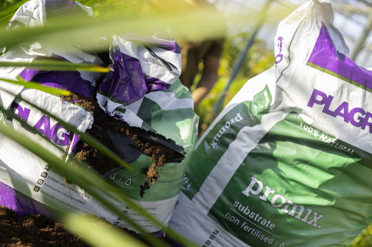 Promix : le meilleur terreau organique pour cultiver en extérieur